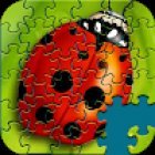 Jigsaw Puzzles Story