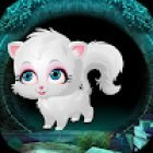 Cute White Cat Rescue Game 2018 - Best Escape 426