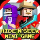 Hide N Seek Mini Game