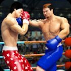 Команда World Tag Super Punch Champion 3D