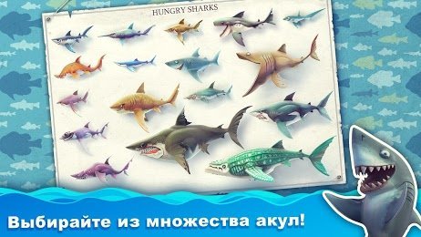 Hungry shark world mod. Смотреть фото Hungry shark world mod. Смотреть картинку Hungry shark world mod. Картинка про Hungry shark world mod. Фото Hungry shark world mod