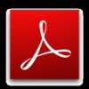Adobe Flash Player
