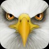 Ultimate Bird Simulator