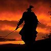 Shadow Hero