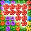 Garden Flowers Blossom