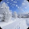 Зима Снег Live Wallpaper