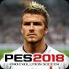 PES 2019 PRO EVOLUTION SOCCER