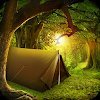 Can You Escape Tropical Forest