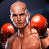 Бокс Борьба - Real Fist