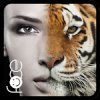 Beauty Face Plus : face morphing