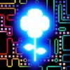 Forget-Me-Not