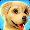 Dog Town: зоомагазин, уход и игры с собаками