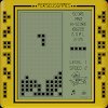 Brick Game Pro