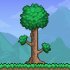 Terraria