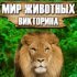 Мир животных – викторина