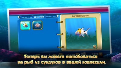 Немо. Подводный мир / Nemo's Ree