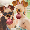 Face Live Camera: Photo Filters, Emojis, Stickers