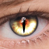 FoxEyes - Change Eye Color by Real Anime Style