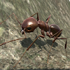 Ant Simulation 3D - Insect Survival Game