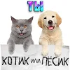 Тест какой ты котик или пёсик. Твой питомец