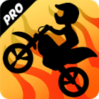 Bike Race Pro