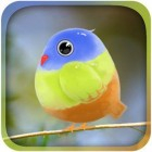 Cute Bird Live Wallpaper