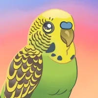 Логотип Bird Kind