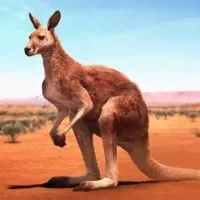 Логотип The Kangaroo
