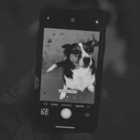 Логотип Top 8 Photo Editing Apps for Your Phone